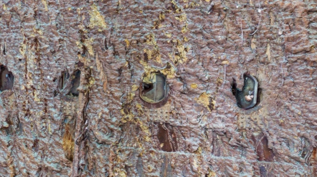 Ambar penceresinin buz dağı çarpmasıyla kırıldığı düşünülüyor.