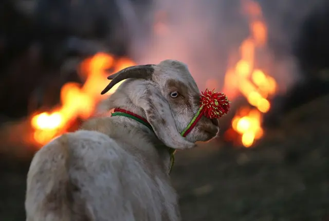 علامتی تصویر 