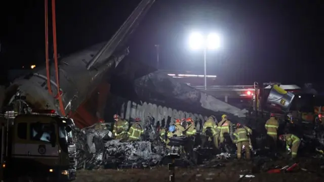 韓国で旅客機が滑走路外れ炎上 179人死亡、2人救助 - BBCニュース