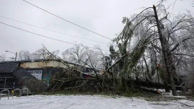 En Nashville, Tennessee, un árbol cayó cerca de cables eléctricos durante la tormenta del fin de semana.