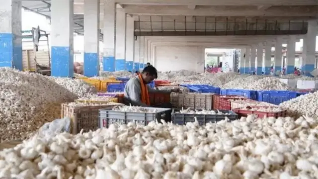 લસણના ભાવ આસમાને