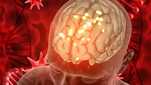 బ్లూ బెర్రీలు 