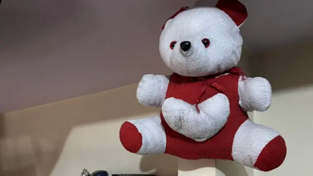 आ﻿युषीच्या घरातील टेडी-बेयर 