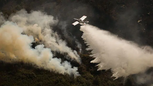 Пожарные на самолете во время тушения пожара