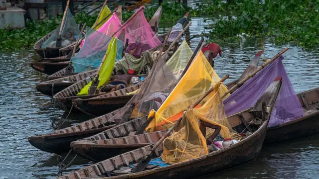 মশার উপদ্রব বৃদ্ধিতে অতিষ্ঠ সাধারণ মানুষ