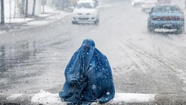 رئیس یک سازمان بشری گفته است که دستور رئیس‌جمهور آمریکا عواقب فاجعه‌باری در افغانستان خواهد داشت
