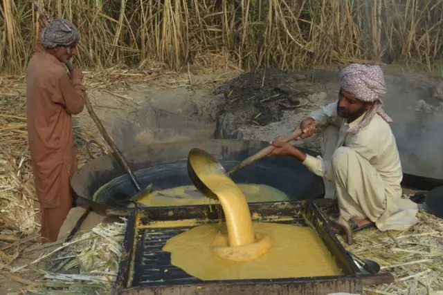 ਗੰਨੇ ਦੇ ਰਸ ਦੀ ਚਾਸਨੀ ਤੋਂ ਗੁੜ ਤਿਆਰ ਕਰਨ ਦੀ ਪ੍ਰਕੀਰਿਆ ਕਰਦੇ ਹੋਏ 