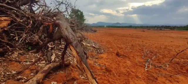 ఎర్రమట్టి దిబ్బలు 