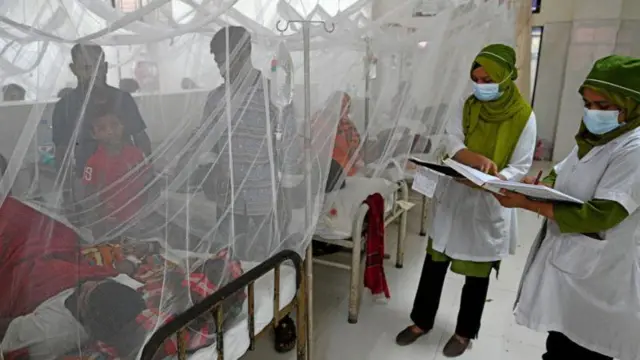 এক সময়ে বাংলাদেশে ডেঙ্গু রোগটি মৌসুমি রোগ বলে মনে করা হলেও, গত কয়েক বছর ধরে সারা বছর জুড়ে এর প্রকোপ দেখা যাচ্ছে।