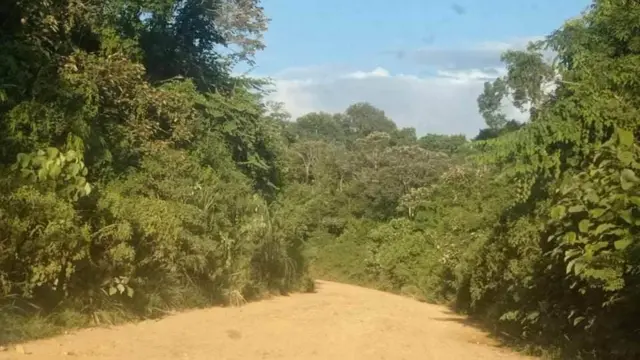 ဟူးကောင်း