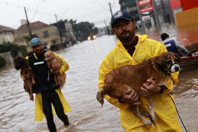 Homens com capas de chuva carregam cachorros molhados em meio à inundação