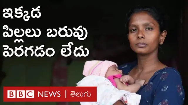 పోషకాహారం