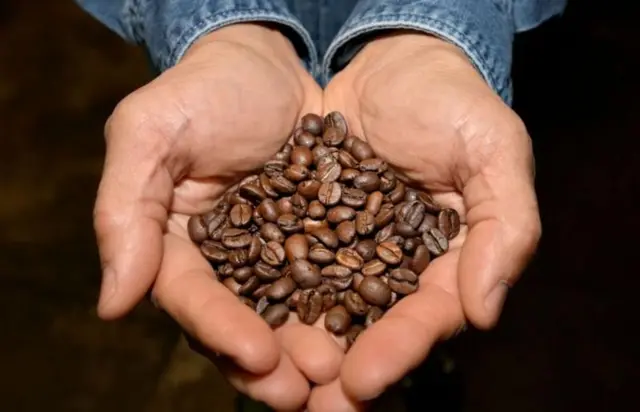 કૉફીનાં બી