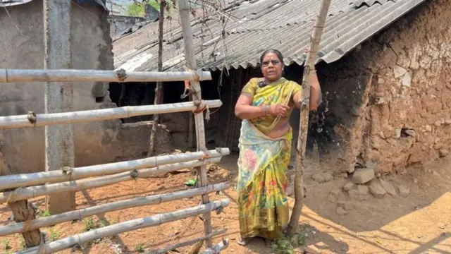 બીબીસી ગુજરાતી આંધ્ર પ્રદેશ તેલુગુ ઝાડ આદિવાસી રાક્ષસ વાઘ દીપડો