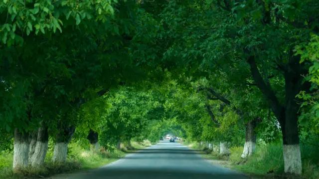 Арстанбапка карай жол...