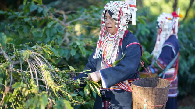 உலகில் பலரால் விரும்பப்படும் பானமாக காபி மாறியது எப்படி