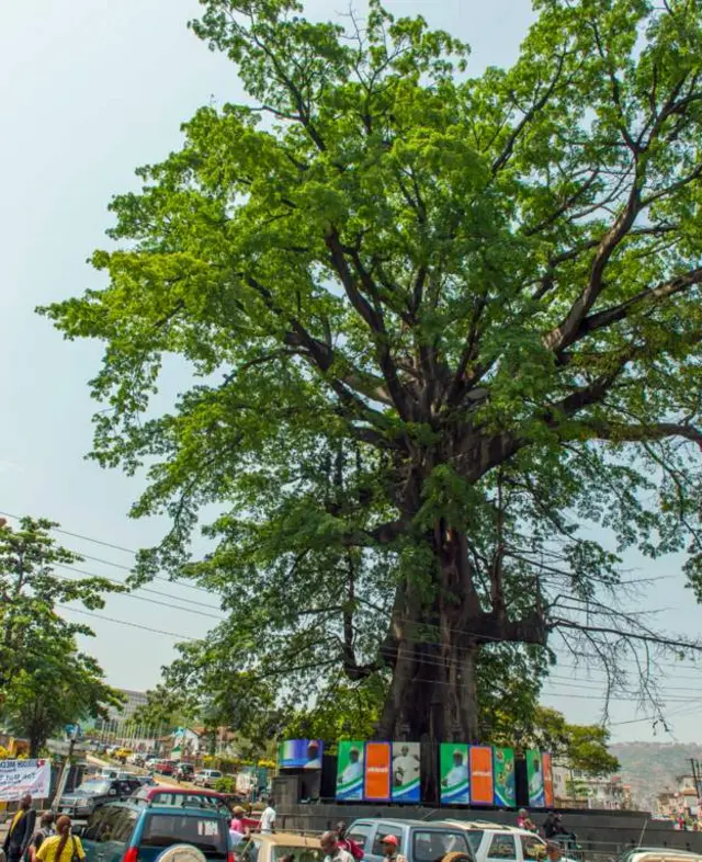 Mukicha osoo hin jigin dura