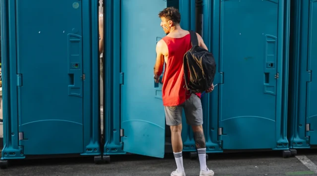 ਟਾਇਲਟ ਸੀਟ 