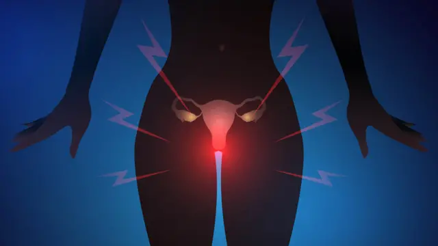 Mushuk va eshakda oyoq