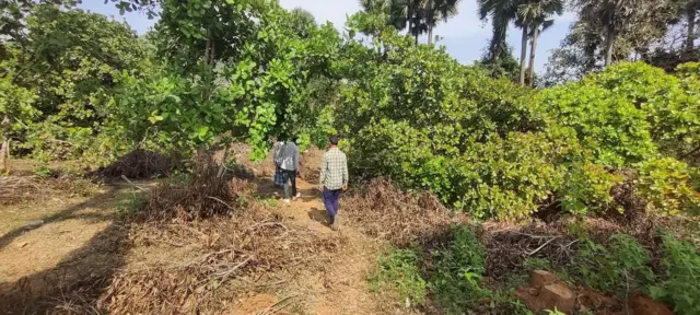 ముడసర్లోవలోని శ్రీకృష్ణాపురం భూములు