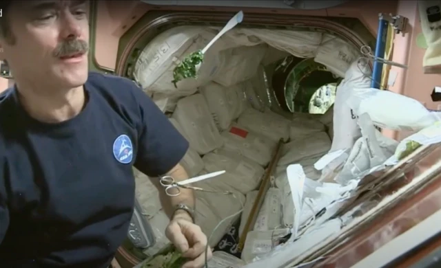 Mwanaanga wa Kanada Chris Hadfield akiwa kwenye kituo cha anga za juu akikaribia kumeza mboga ya kijani inayoelea kwake kwenye kijiko.
