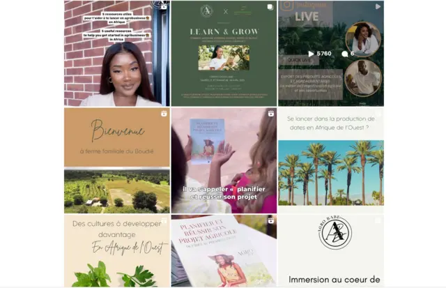 Aperçu des plateformes numériques d'Agrobabe