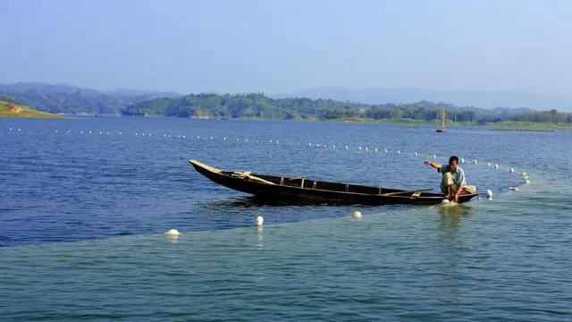 পানির প্রবাহ ঠিক থাকলে মাছের উৎপাদন, স্বাদ ও গন্ধ ঠিক থাকে বলে মত গবেষকদের