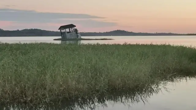 Casa hundiéndose en Fordlandia, en el amazonas brasileño.