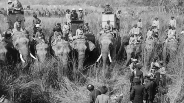 వీరప్పన్ కేసు