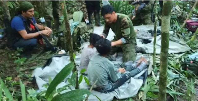 Ụmụaka a hụụ n'oke ọhịa