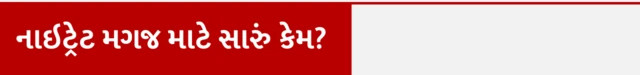 નાઇટ્રેટ મગજ માટે સારું કેમ, બૅક્ટેરિયાથી યાદશક્તિ વધે, અલ્ઝાઇમર કેવી રીતે થાય, અલ્ઝાઇમર વિશે સંશોધન, અલ્ઝાઇમર ન થાય તે માટે શું કરવું, યાદશક્તિ વધારવા કેવો ખોરાક ખાવો, બીબીસી ગુજરાતી, બીબીસી ન્યૂઝ ગુજરાતી , બીબીસી ગુજરાતી ઍક્સ્પ્લેઇનર, બીબીસી ગુજરાતી સાથે સમજો,