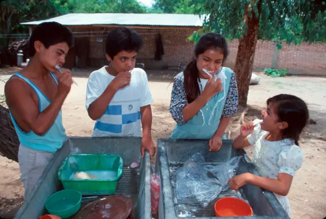 பற்தூரிகை, வைரஸ்கள்