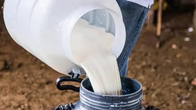 दुग्ध उद्योग