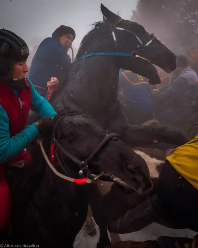 Эрендердин эр оюну көк бөрү...