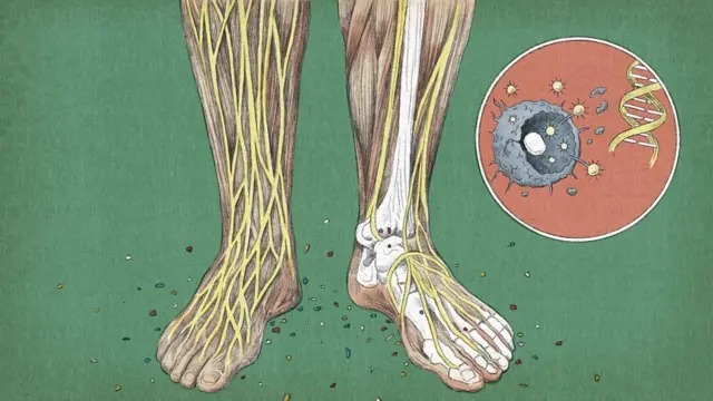 እግርን የሚያሳይ የሰውነት ንድፍ