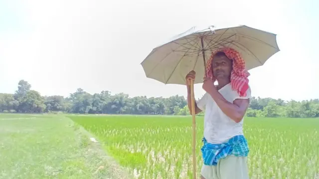 सुक्खा मधेशमा घामबाट बच्न छाता ओढिरहेका किसान