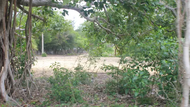 முஸ்லிம்களின் உடல்கள் புதைக்கப்பட்டுள்ளதாக ரஊப் அடையாளம காட்டிய இடம்