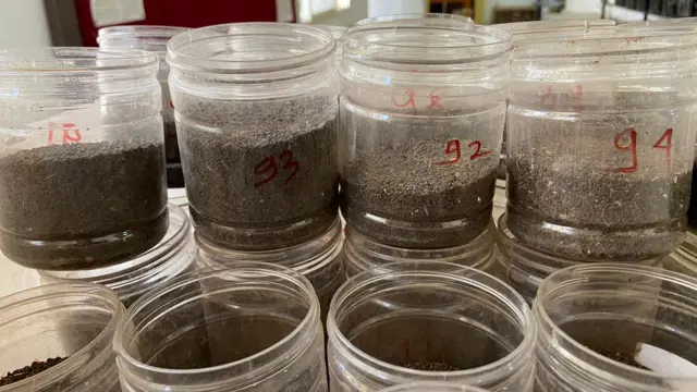प्रयोगशाळेतील मातीचे नमुने