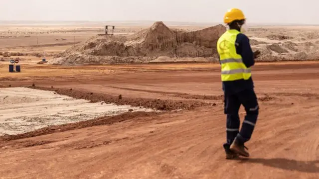 नीजेर तख़्तापलट