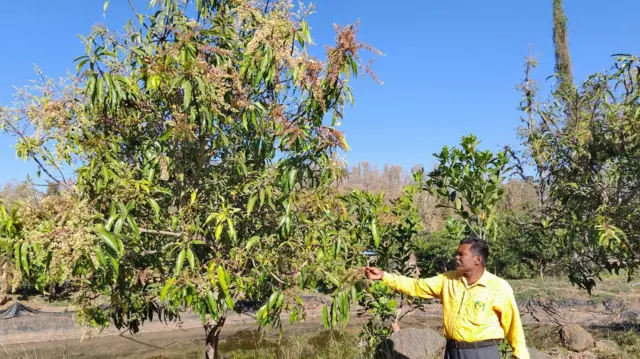 સુકીરાવભાઈ