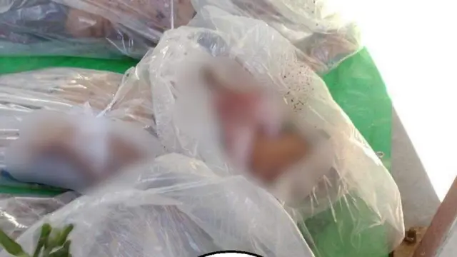 ရက်မကူးဘဲ စျာပနပြုလုပ်ခဲ့