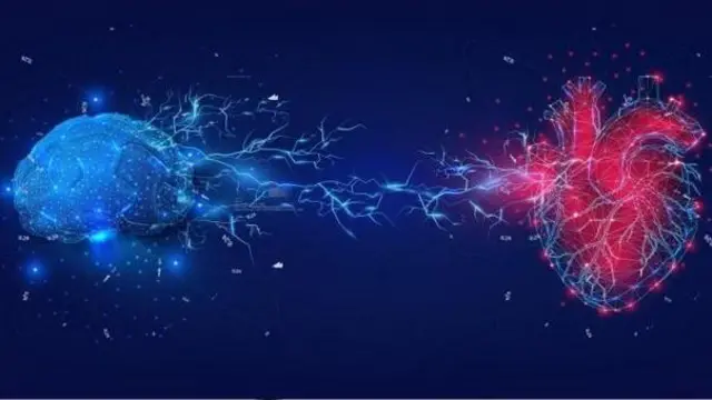 મૃત્યુ દરમિયાન મગજમાં શું થાય, મૃત્યુ પછી શું થાય, શું મૃત્યુ પછી સફેદ પ્રકાશ દેખાય, મરણના મુખમાંથી બહાર આવેલા લોકોએ શું કહ્યું ? બીબીસી ગુજરાતી, બીબીસી ન્યૂઝ ગુજરાતી