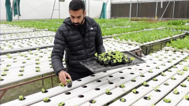 ਪ੍ਰਿਤਪਾਲ ਸਿੰਘ