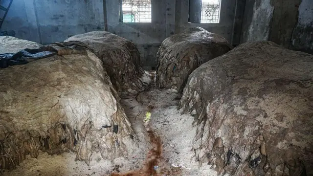 লবণ দিয়ে চামড়া সংরক্ষণ করা হয়েছে 