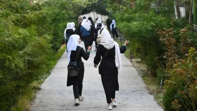 افغان نجونوې