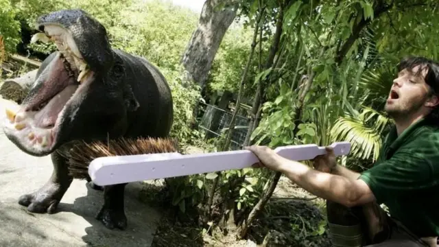 رجل يقف فاتحاً فمه أمام فرس نهر يفتح فمه أيضا في حديقة حيوان