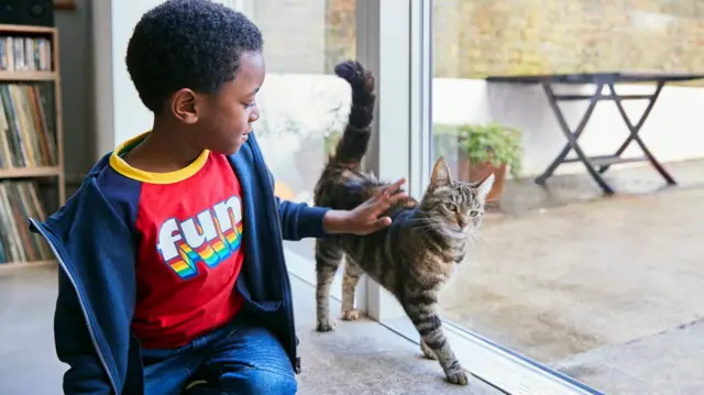 Menino fazendo carinho em um gato 