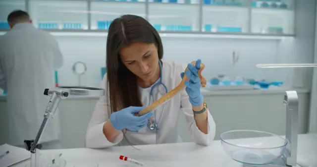 Seorang ilmuwan sedang meneliti ular di sebuah laboratorium.