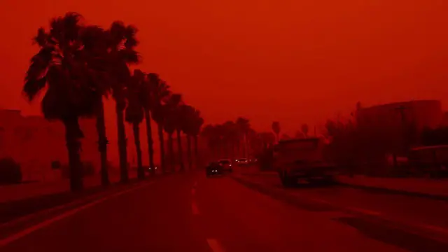 На путу неколико аутомобила, камион, поред пута палме, све је обојено у црвено