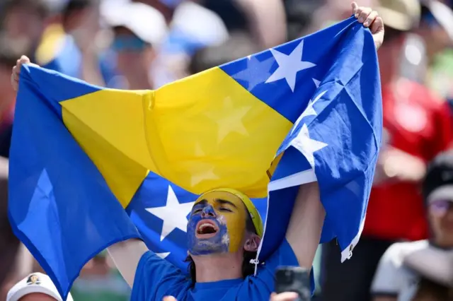 bosna i hercegovina, svetsko prvenstvo u fudbalu